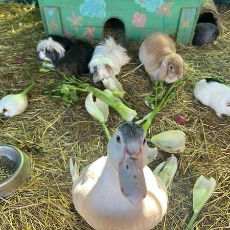Sejour A La Ferme Villa Jouques Kültér fotó