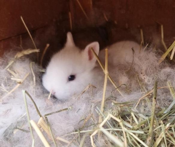 Sejour A La Ferme Villa Jouques Kültér fotó