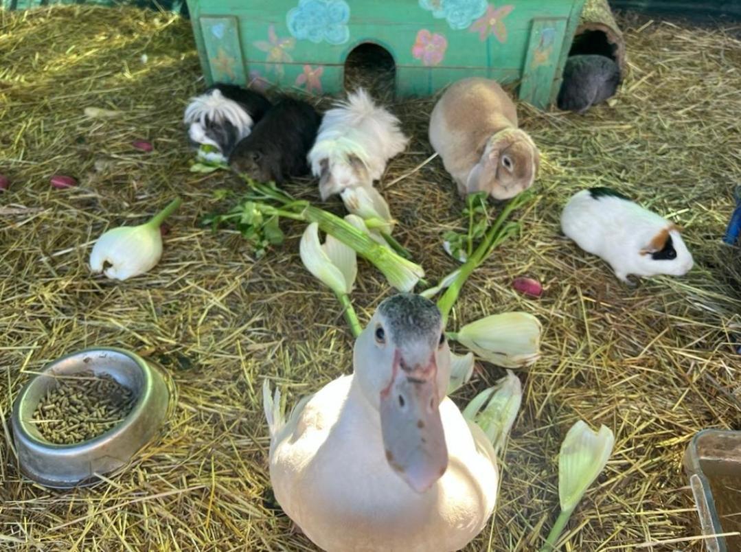 Sejour A La Ferme Villa Jouques Kültér fotó