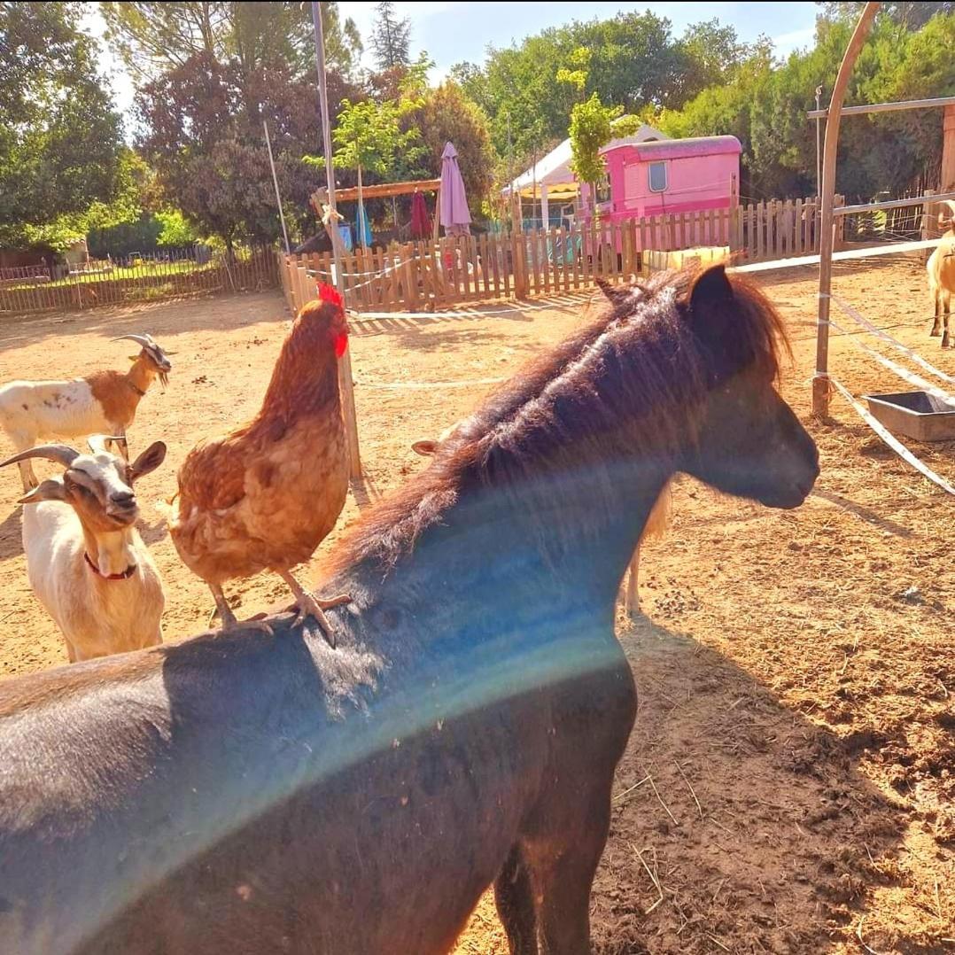 Sejour A La Ferme Villa Jouques Kültér fotó